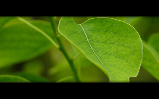 448307 (a): :2560x1600